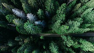 Photo by Geran de Klerk